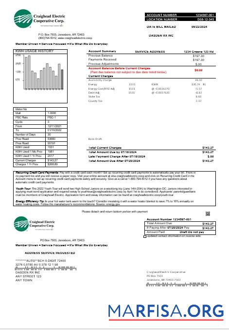 Realistic USA Craighead Electric business utility bill template in Word and PDF formats